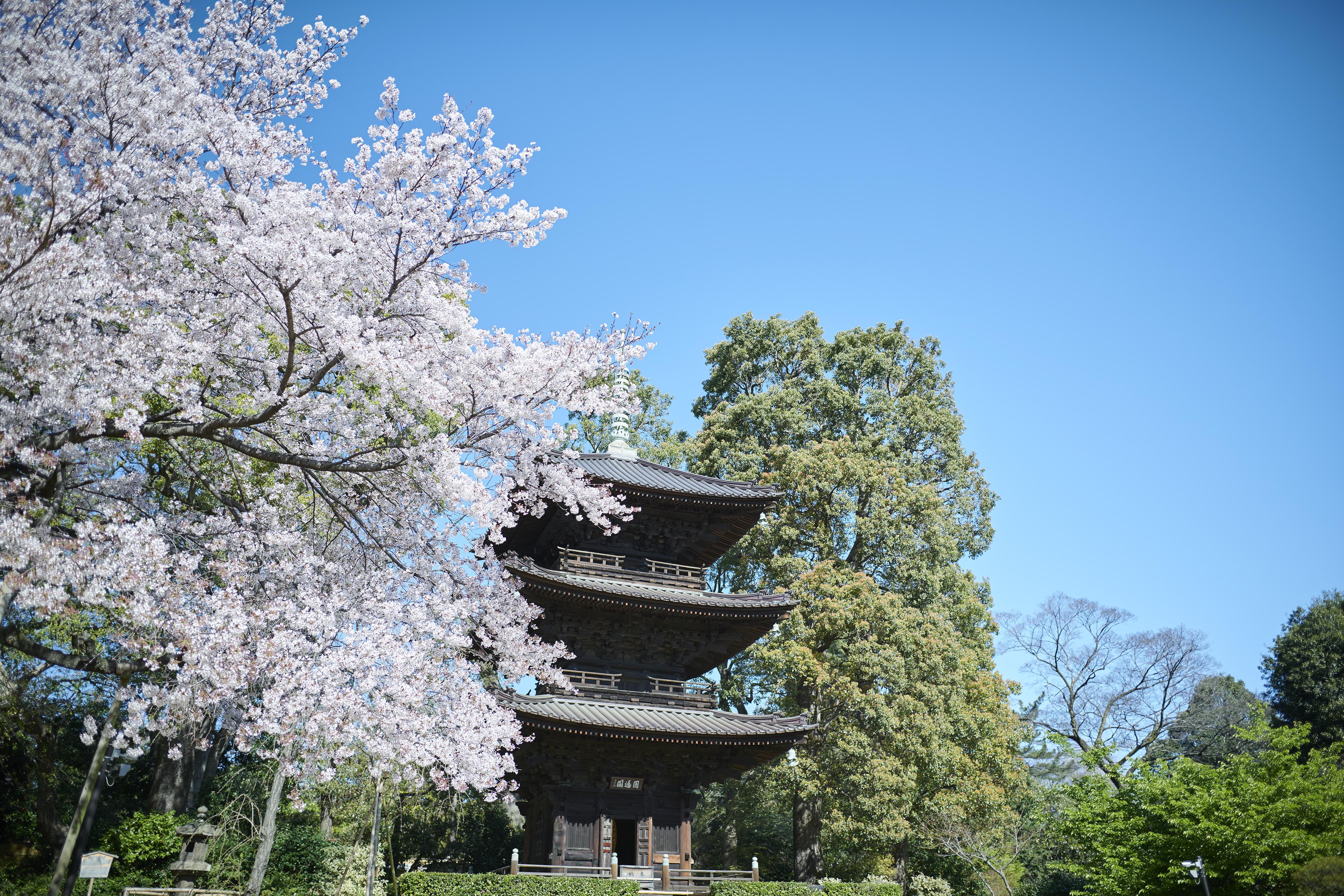 Hotel Chinzanso Tokyo Dış mekan fotoğraf