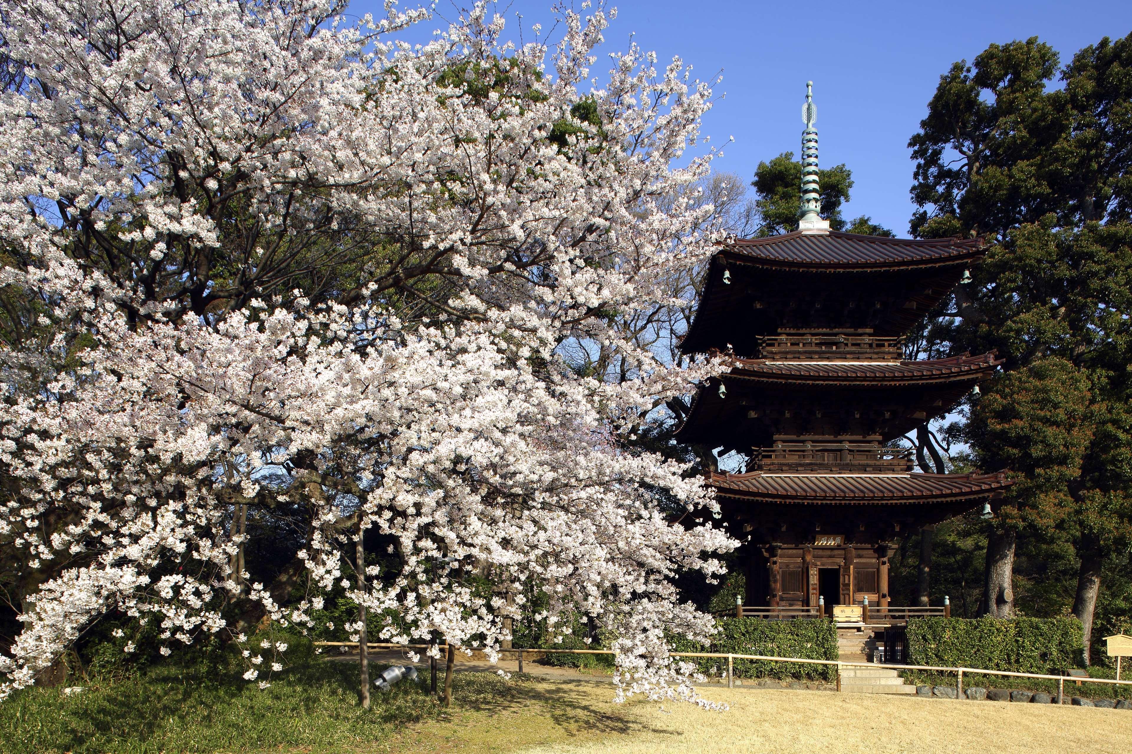 Hotel Chinzanso Tokyo Dış mekan fotoğraf
